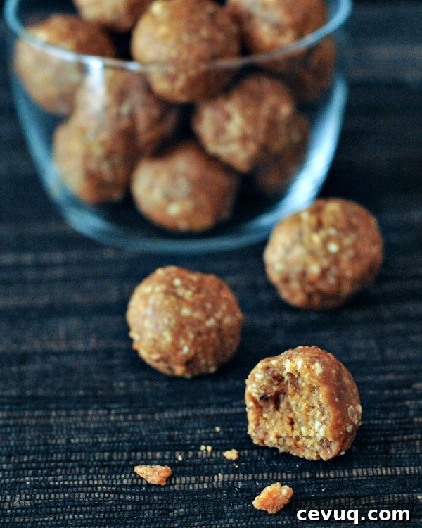 Savory BBQ Crunch Protein Balls @spabettie