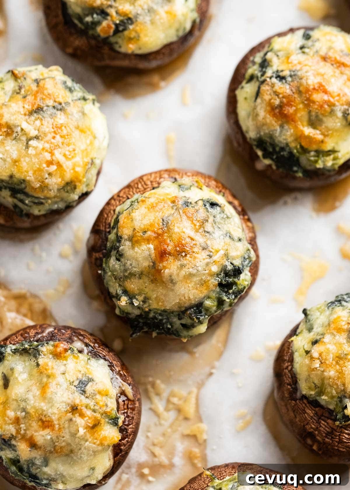 closeup shot of spinach stuffed mushroom topped with parmesan