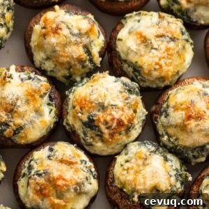 spinach stuffed mushrooms topped with parmesan cheese