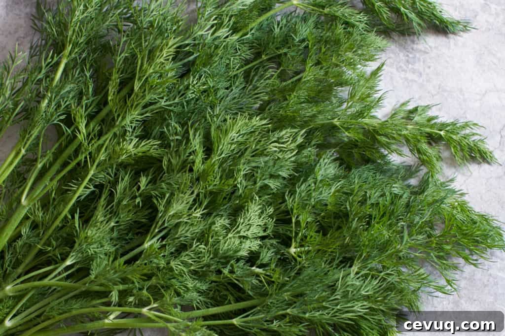 A bunch of fresh dill on a gray surface.