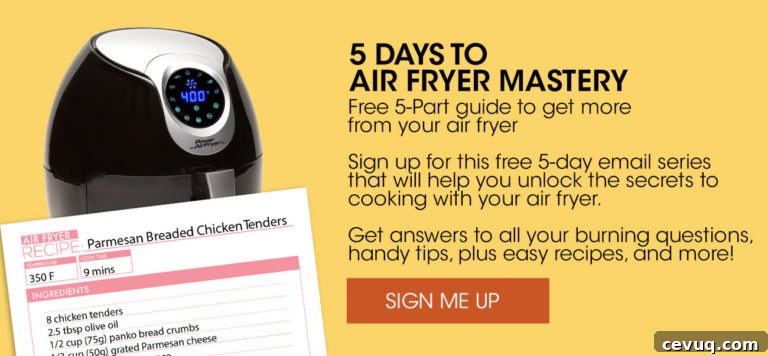 Air fryer mastery banner