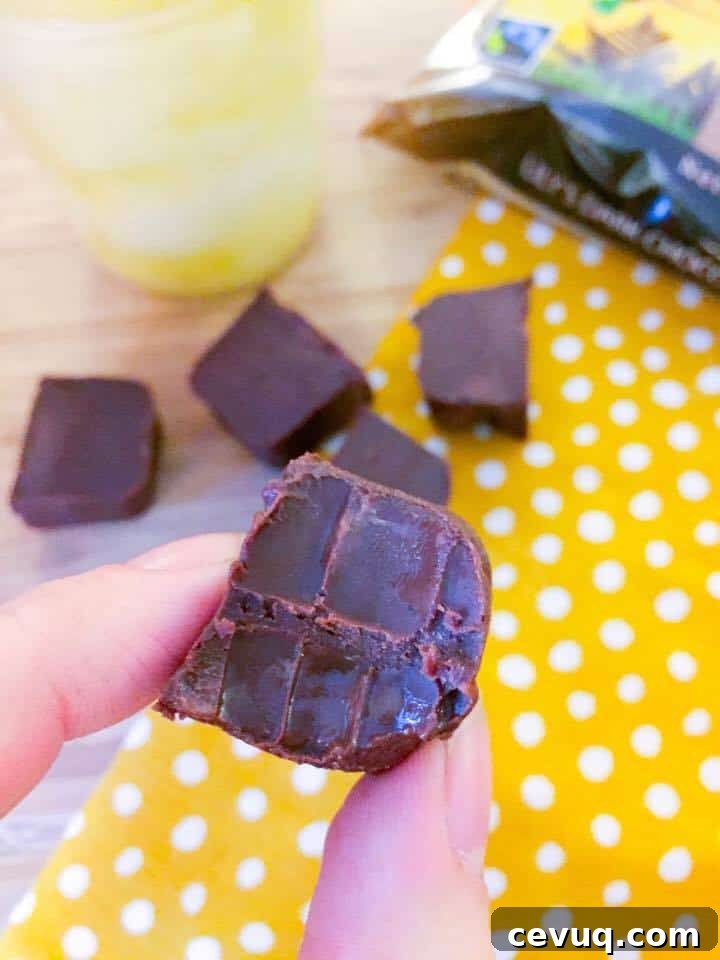 2 Ingredient Fudge
