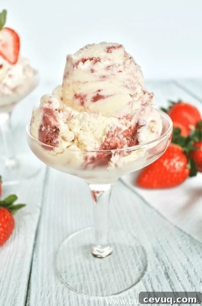 Strawberry Cheesecake Ice Cream