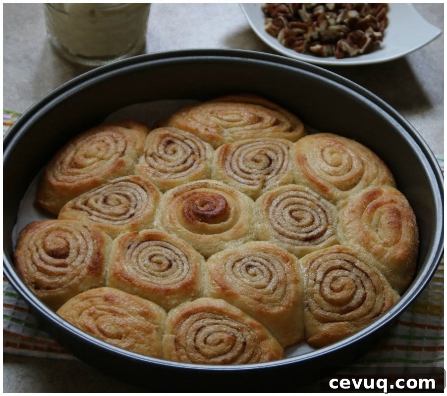Cinnamon Rolls