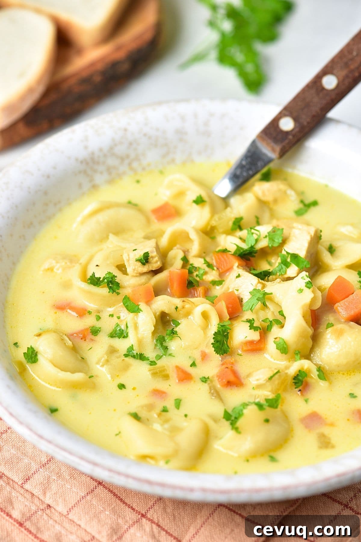 Up close view of a bowl of chicken tortellini soup