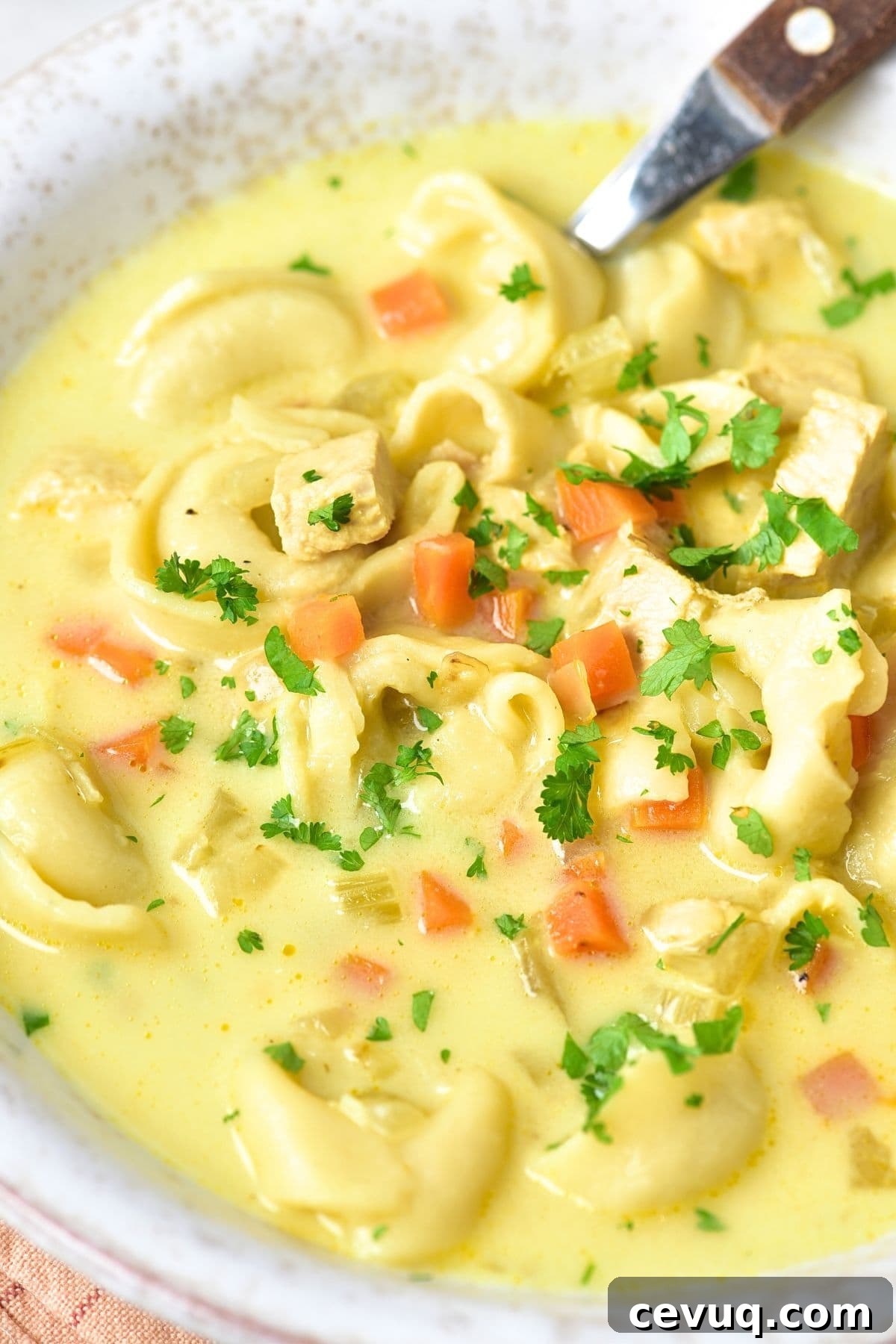 Up close view of tortellini soup with chicken