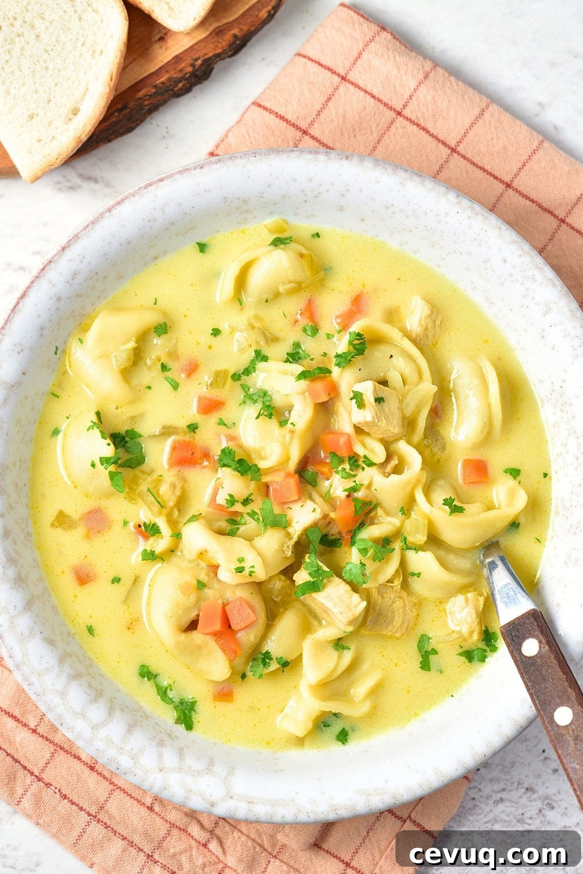 Top down view of a bowl of chicken and tortellini soup on kitchen towel