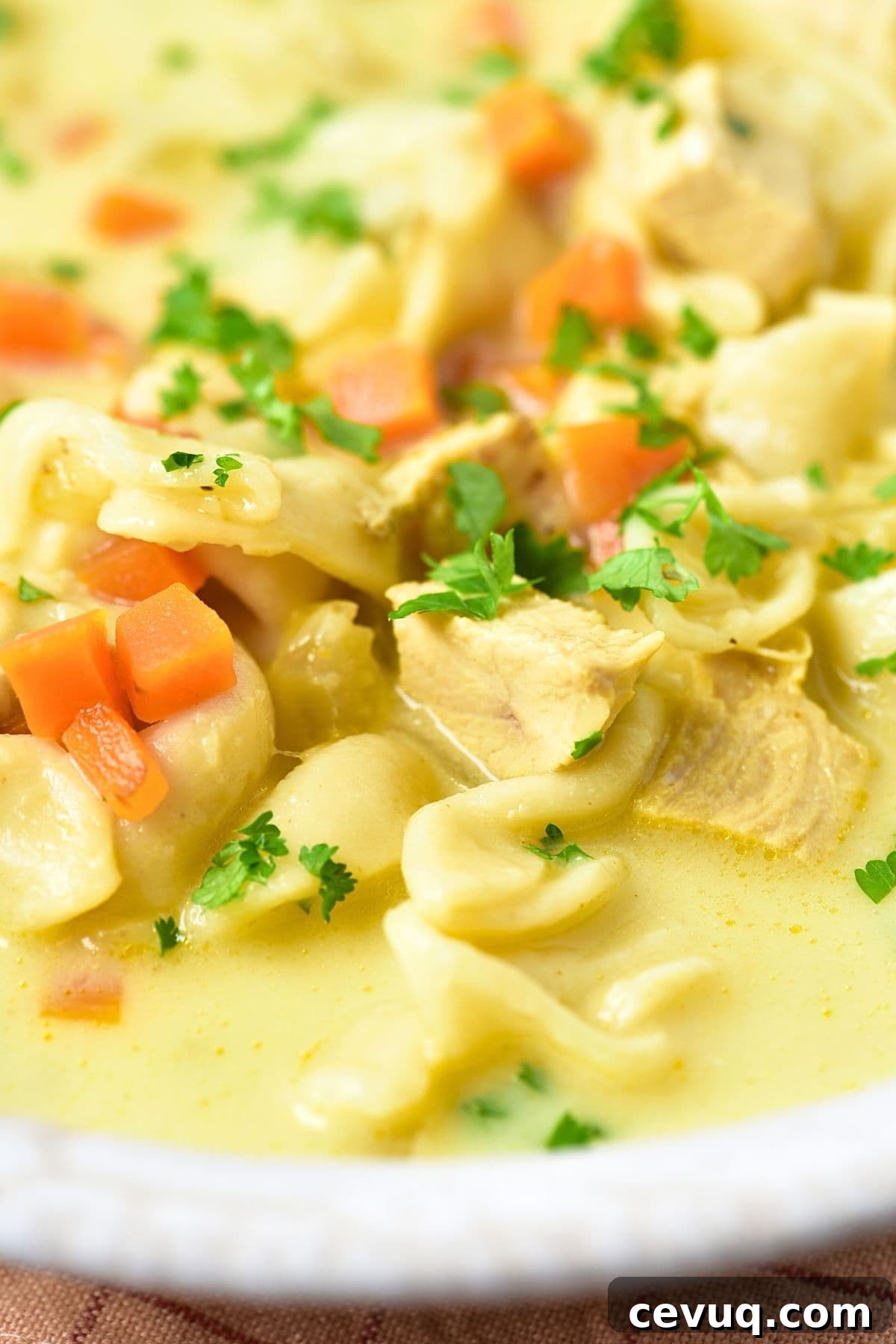 Up close view of tortellini chicken soup garnished with parsley