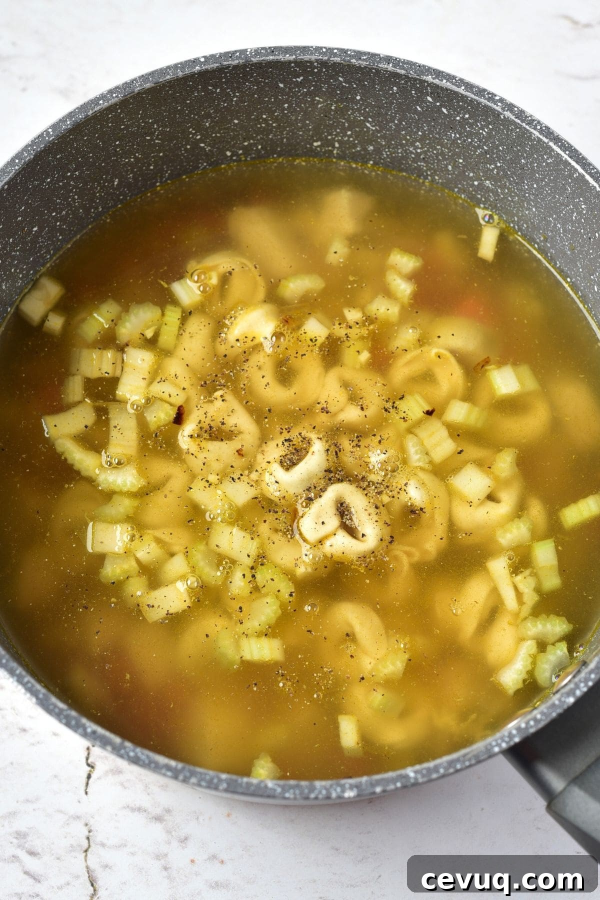 Tortellini and diced vegetables in broth
