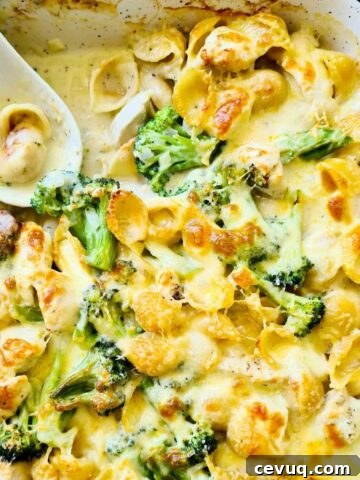 A tray of creamy pasta bake