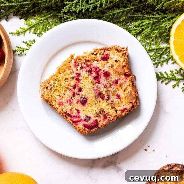 White plate with slice of cranberry orange bread with cranberries and sliced oranges all around as well as green garland.