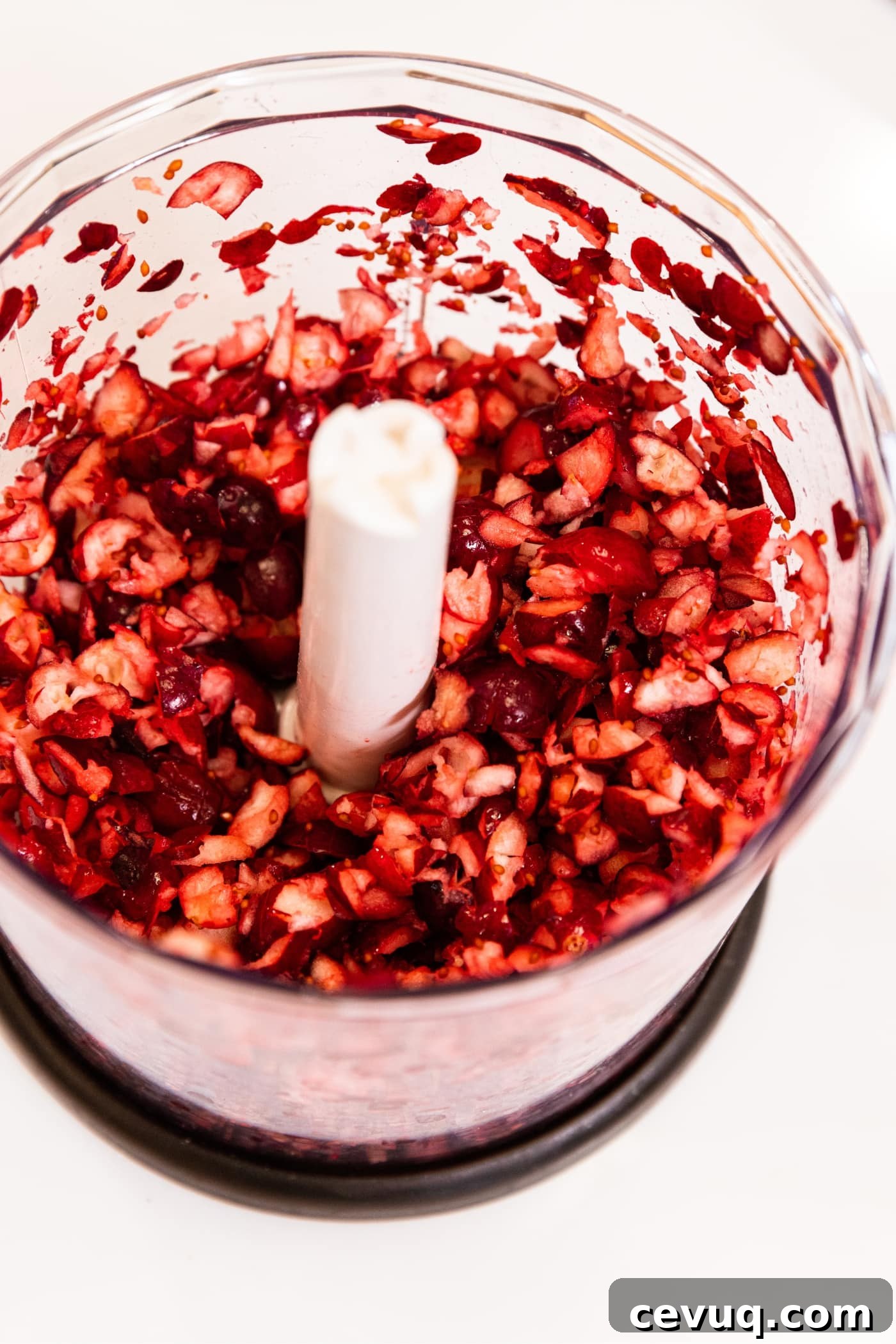 Small food processor filled with pieces of chopped fresh cranberries sitting on white surface.