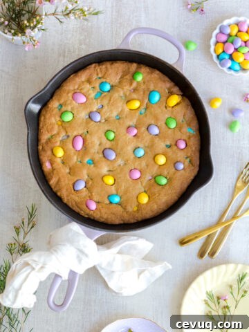 M&M Skillet Cookie by Baking The Goods