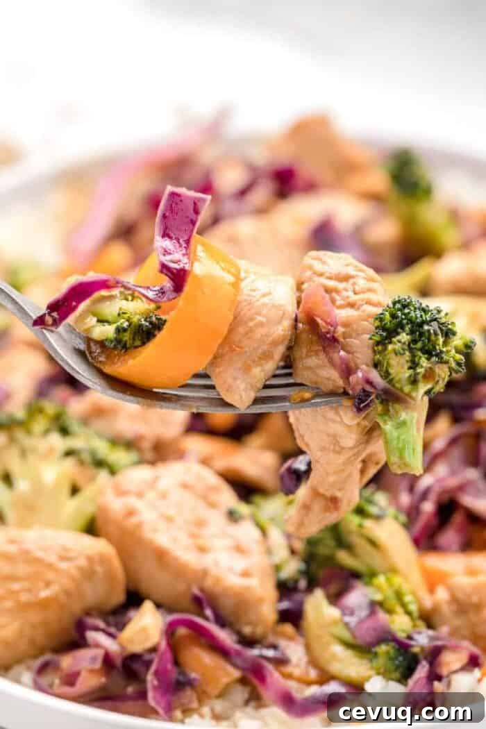 Homemade Chili Seasoning Mix for Authentic, Bold Flavor 16 closeup view of keto stir fry with piece of chicken and vegetables on a fork