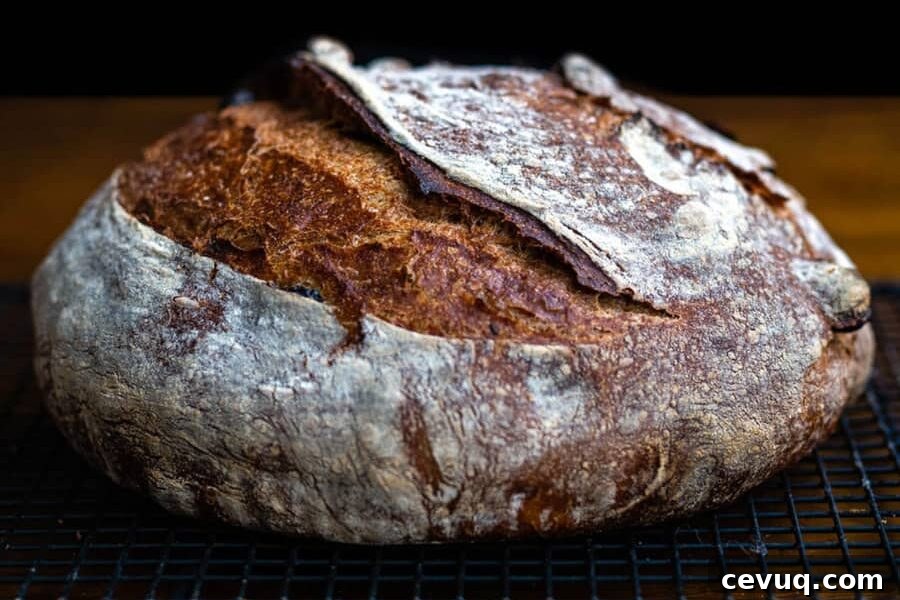Cinnamon Raisin Sourdough Loaf Recipe 9 Slice of sourdough cinnamon raisin bread on plate