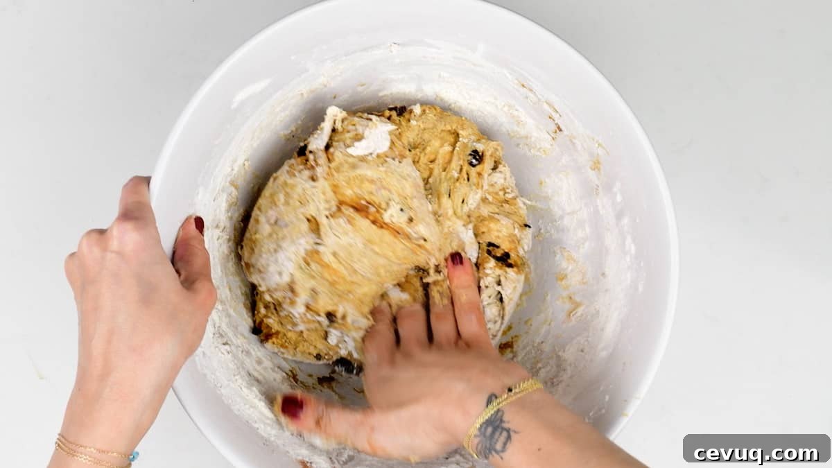 Cinnamon Raisin Sourdough Loaf Recipe 6 Folding sourdough bread dough in a mixing bowl