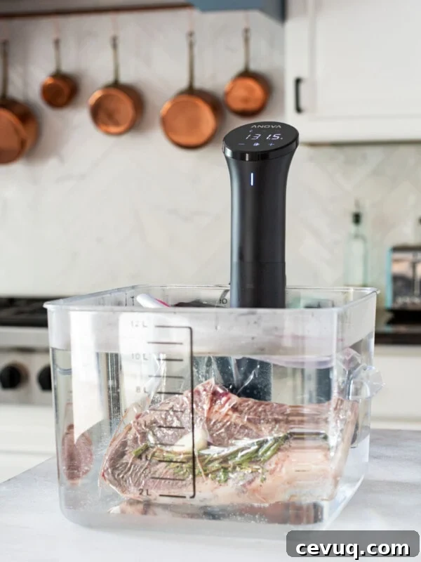 Sous vide steak