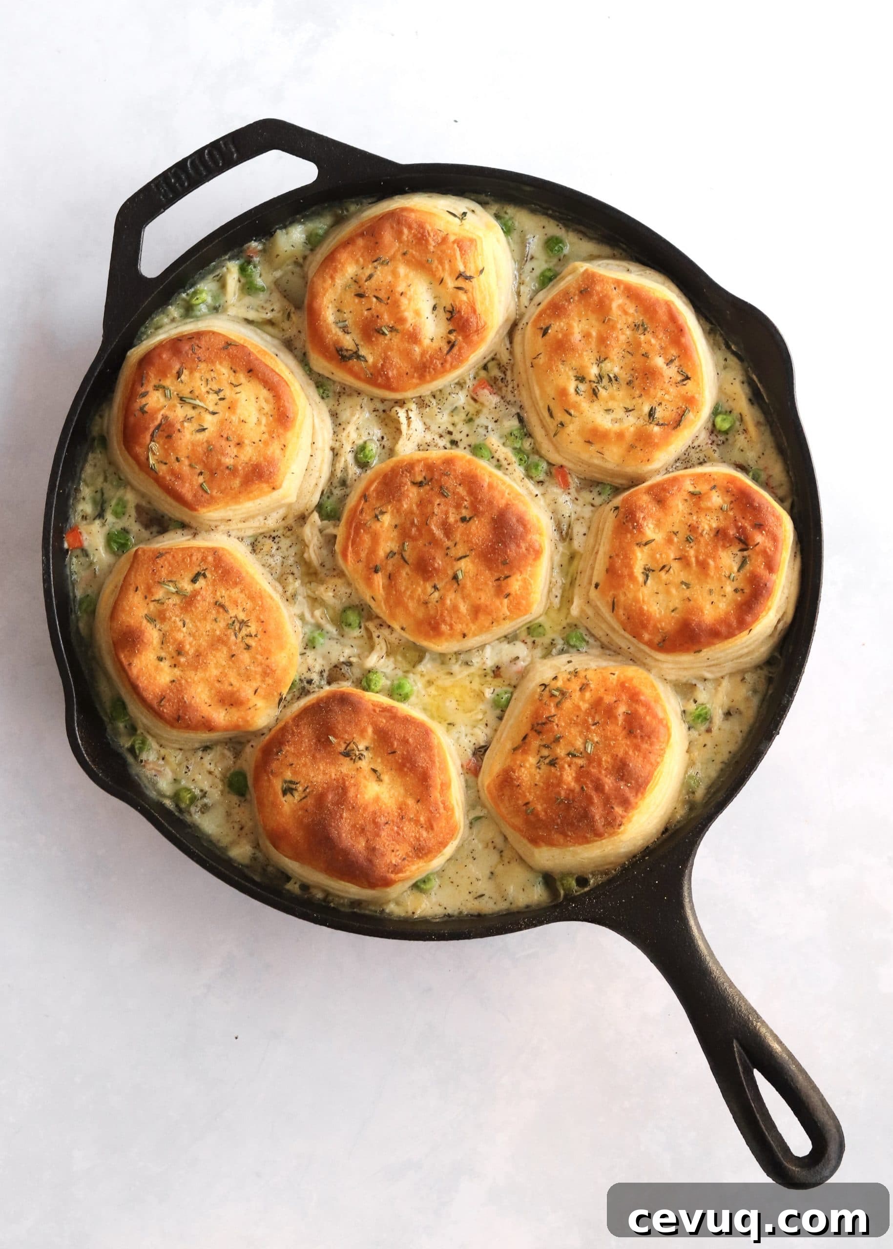 Leftover Turkey Pot Pie Recipe 6 Baked turkey pot pie with biscuits
