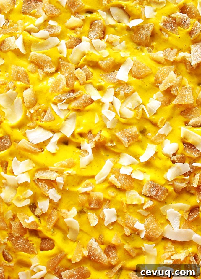 Golden Milk Frozen Yogurt Bark - Inspired by golden milk, this bark is packed with healthy turmeric. It's cold, creamy, nutty, with warming spices and crystallized ginger. This recipe is EASY to make! Perfect for a summer snack. Gluten Free.
