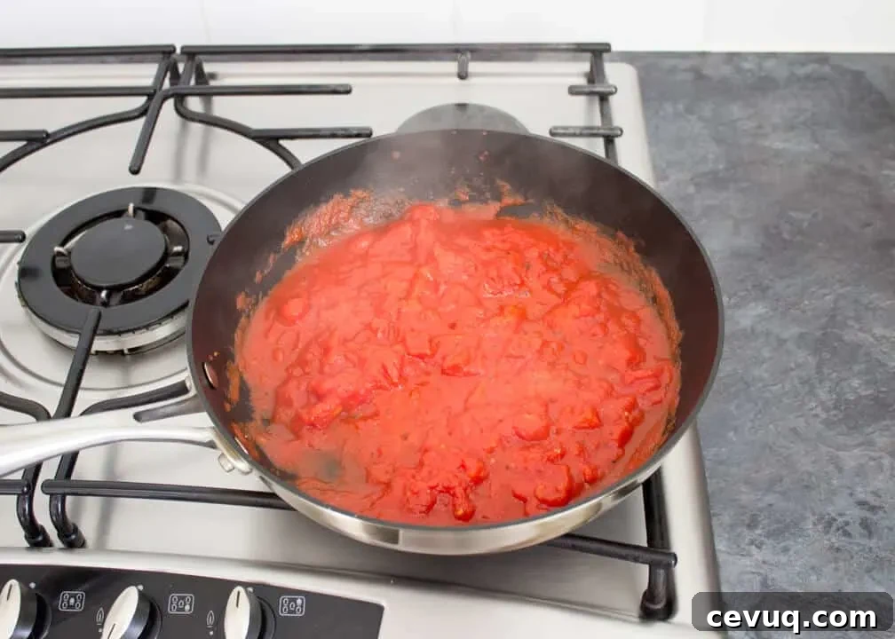 Spicy Tomato and Chili Pasta Recipe 5 Tomato chilli pasta sauce cooking in a pan