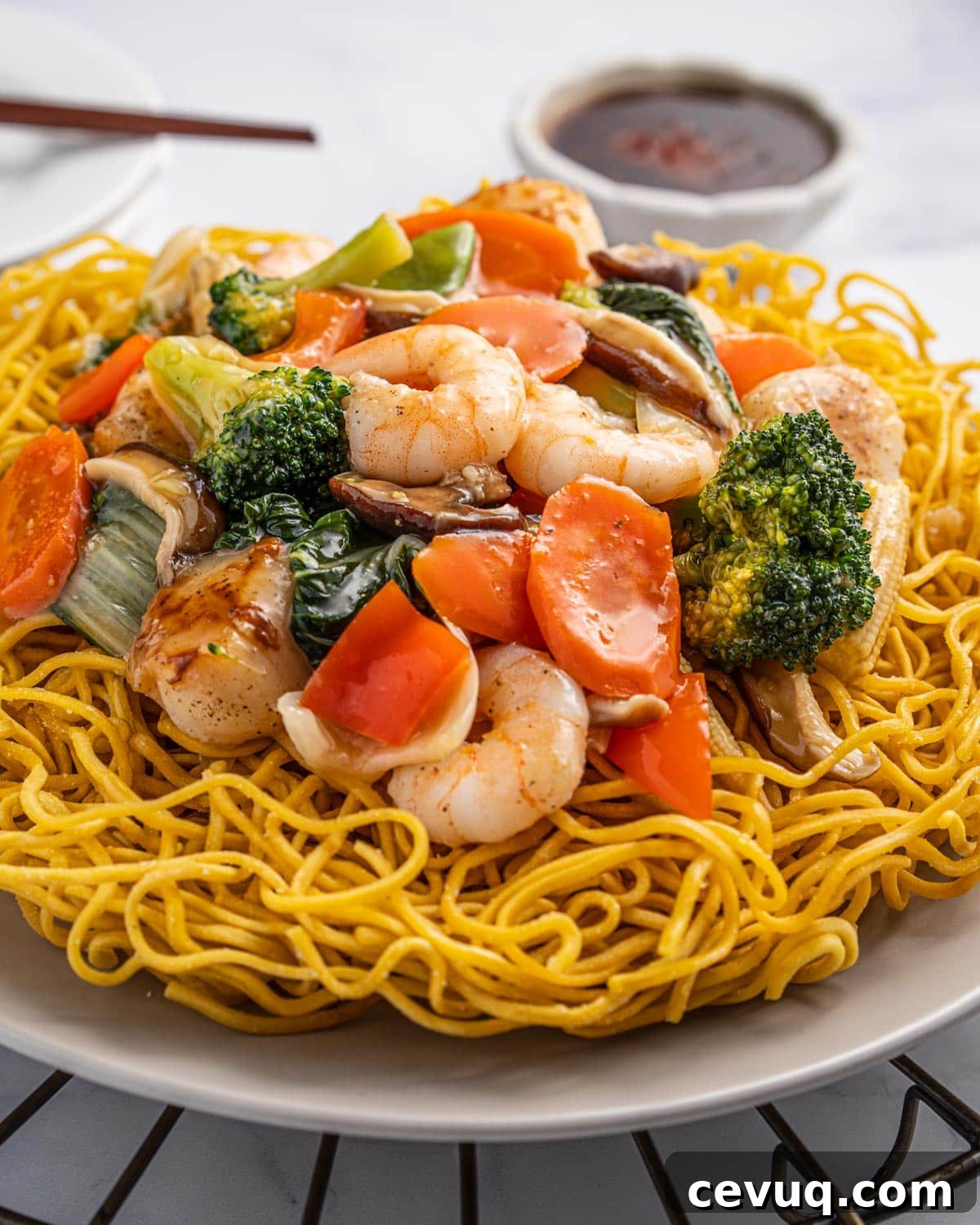 Crispy Pan-Fried Seafood Noodles with Vegetables 11 close up of fried noodles with stir-fried toppings and sauce.