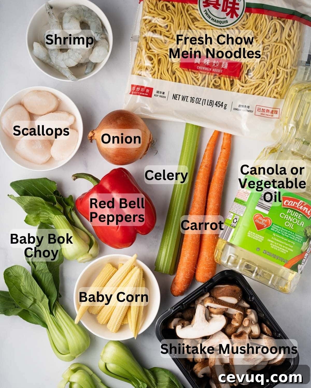 Crispy Pan-Fried Seafood Noodles with Vegetables 4 Ingredients needed for mi xao gion: fresh chow mein noodles, shrimp, scallops, onion, celery, carrots, red bell peppers, baby bok choy, baby corn, shiitake mushrooms, and oil.