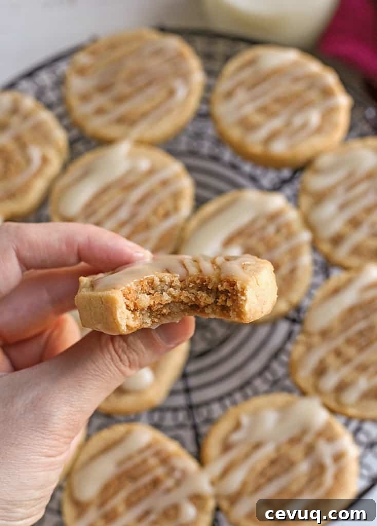 hand holding a cinnamon roll cookie with a bite taken out 