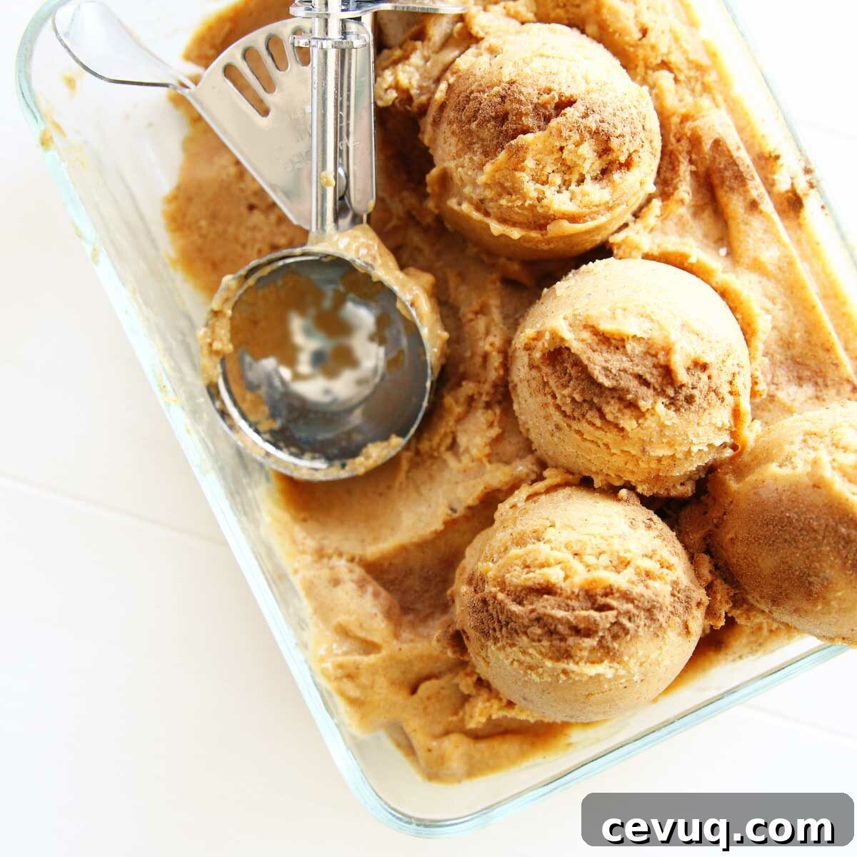 Easy Vegan Pumpkin Pie Spice Nice Cream Recipe (Only 4 Ingredients!)