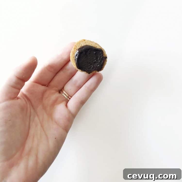 macaron with mocha espresso filling