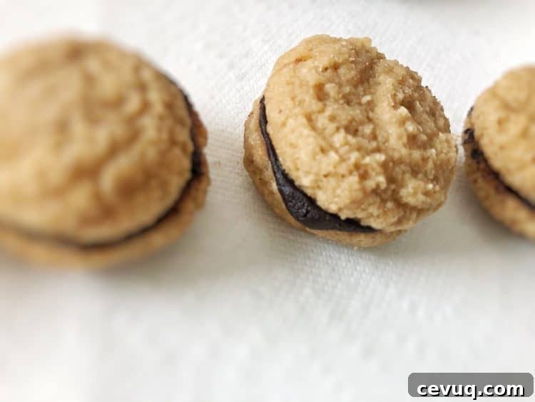 close-up of espresso-mocha macarons