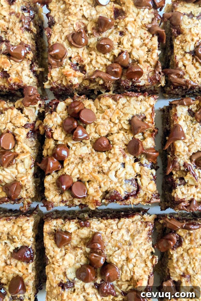 Healthy Oatmeal Cookie Bars cut into squares for serving