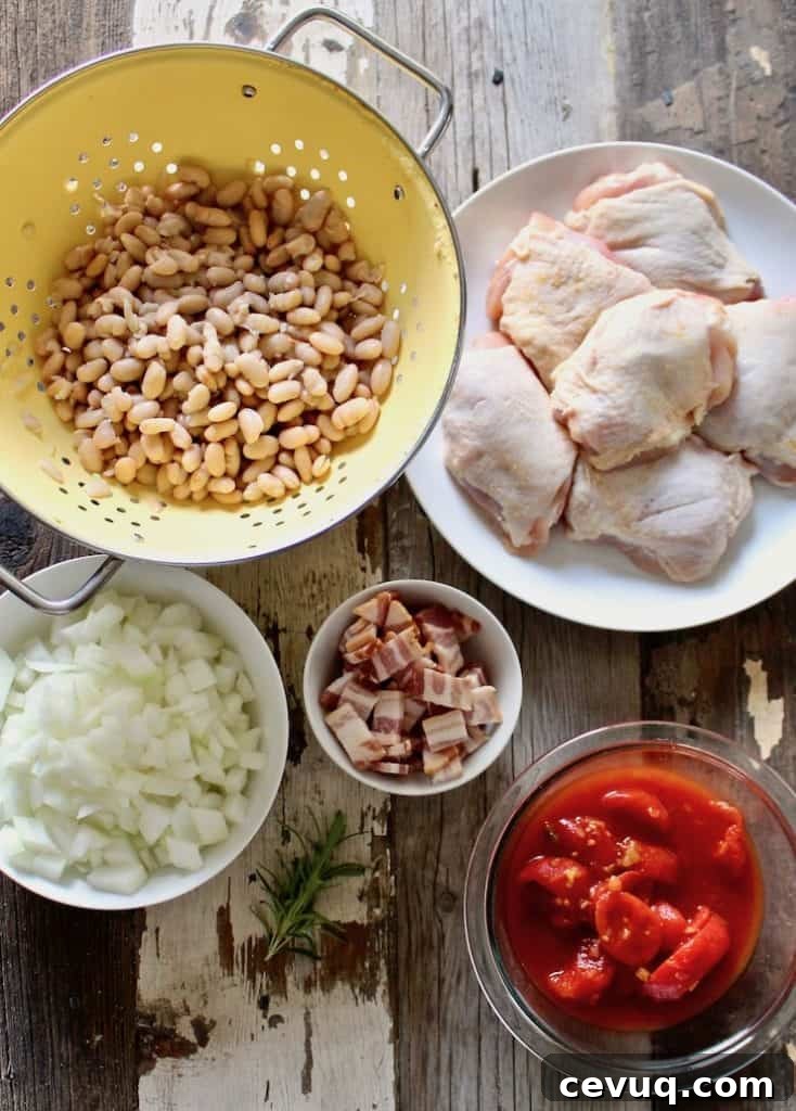 Ingredients photo, chicken thighs, beans, onion, bacon and stewed tomatoes.