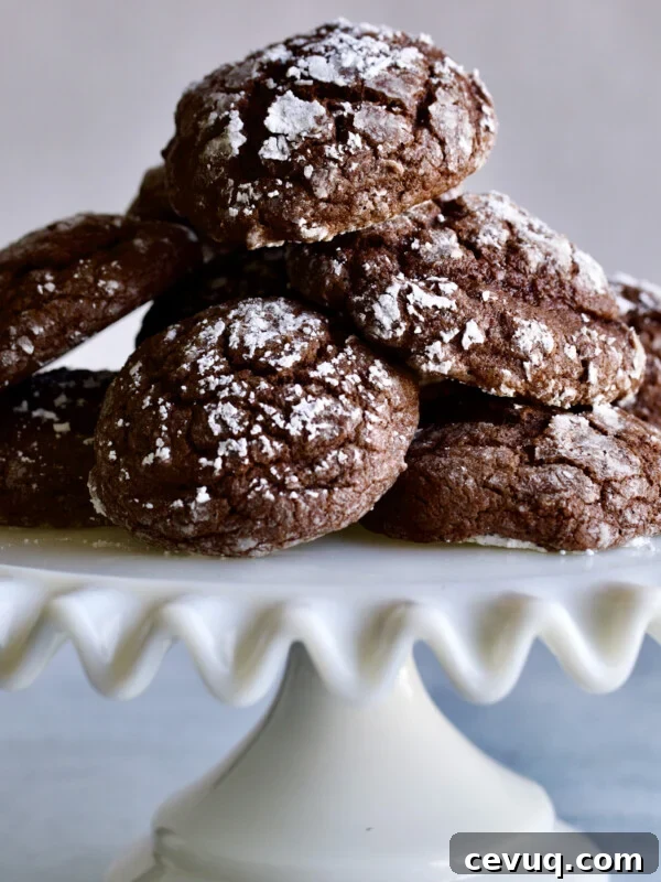 Chocolate spice cookies piled on a raised platter.