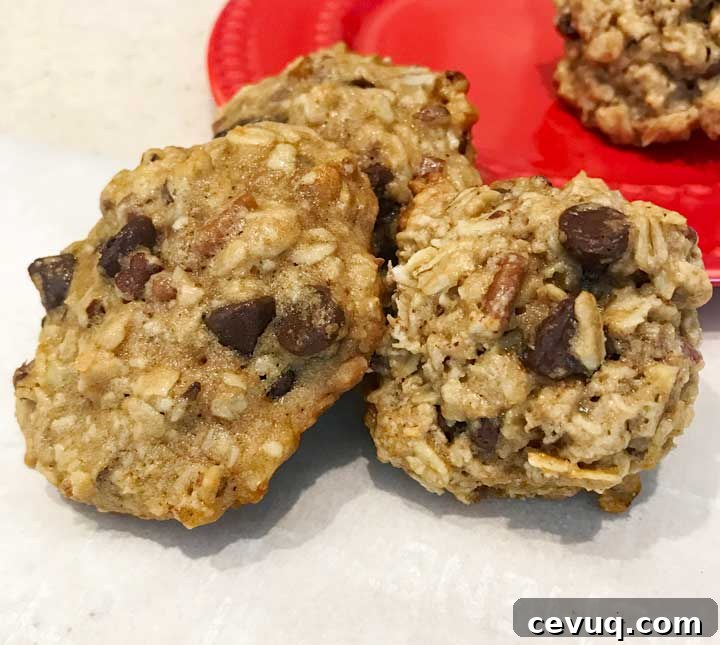 Small Batch Vegan Oatmeal Chocolate Chip Cookies