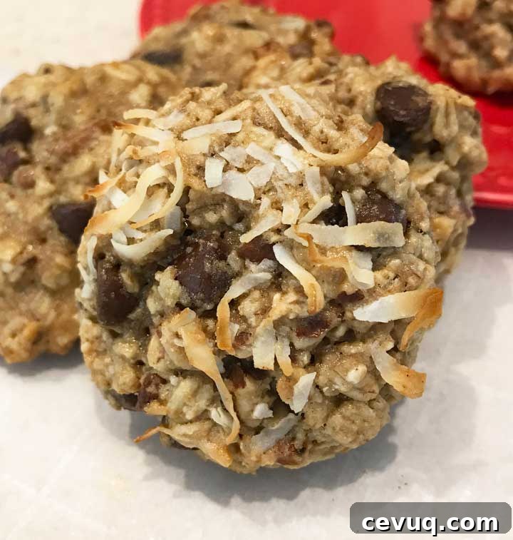 Vegan Oatmeal Chocolate Chip Cookies with Aquafaba