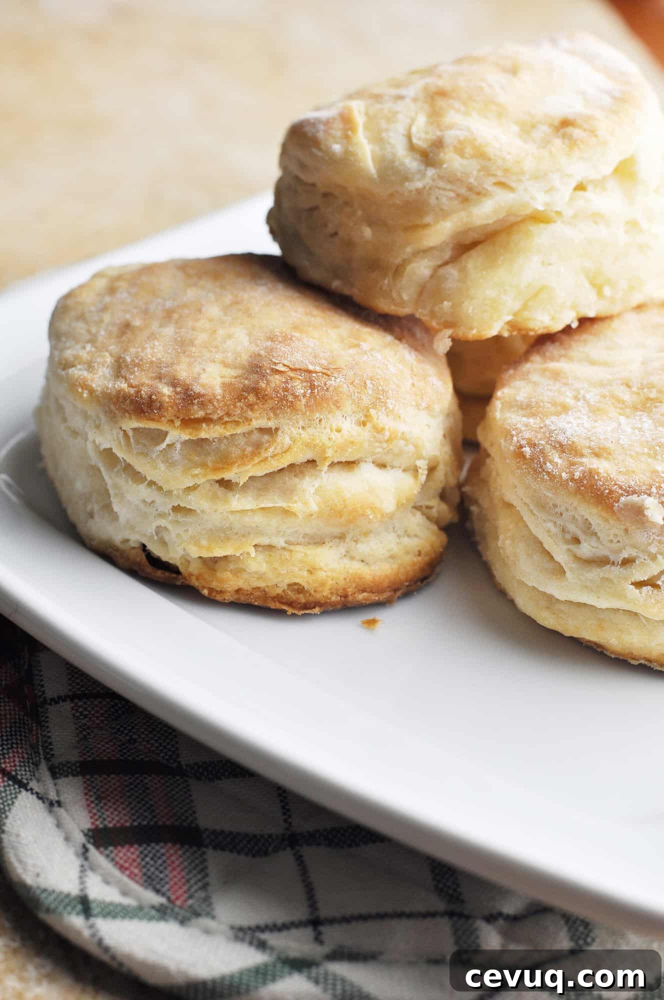 Cooked biscuits stacked on plate ready to serve.