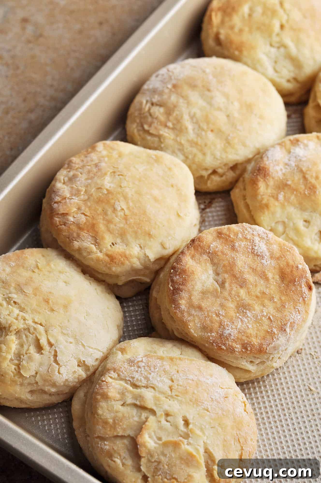 Cooked biscuits lined up on baking pan.