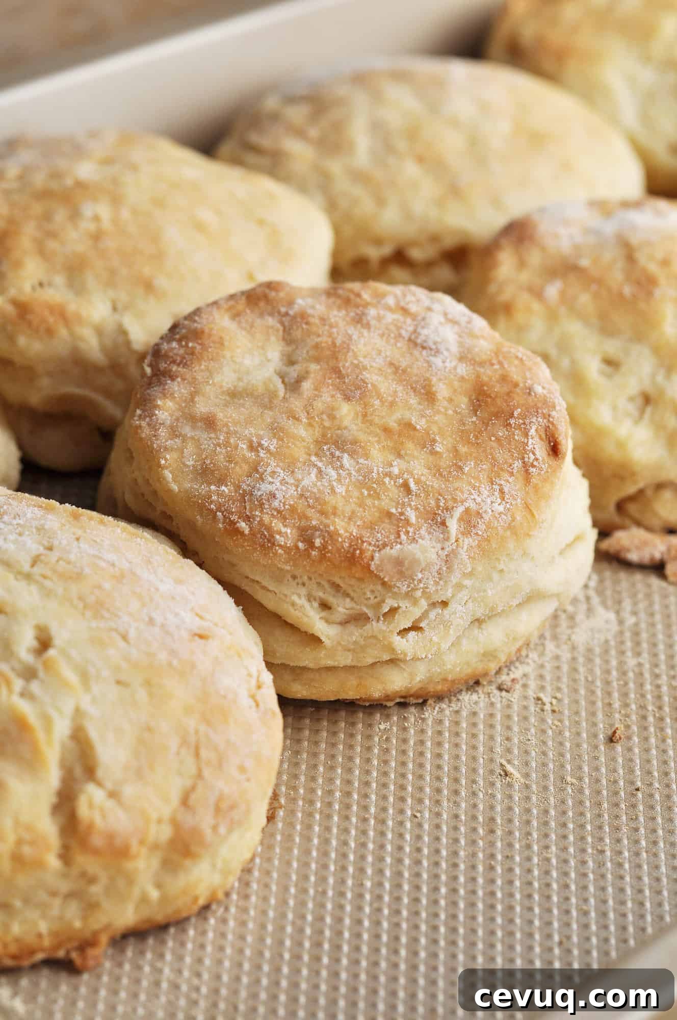 Stack of buttery biscuits ready to serve.