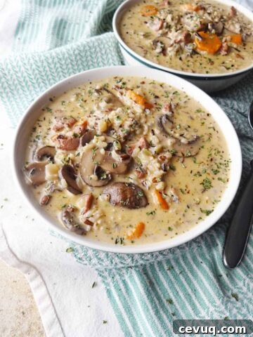 Chicken and Wild Rice Soup