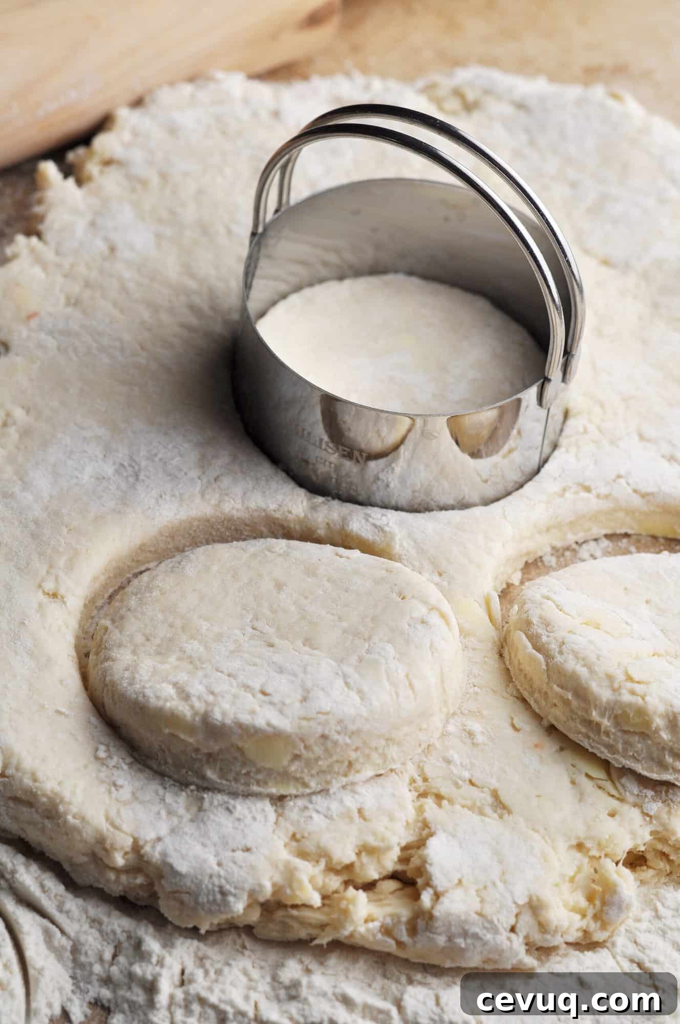 Uncooked biscuit dough rolled out on counter with biscuit cutter.