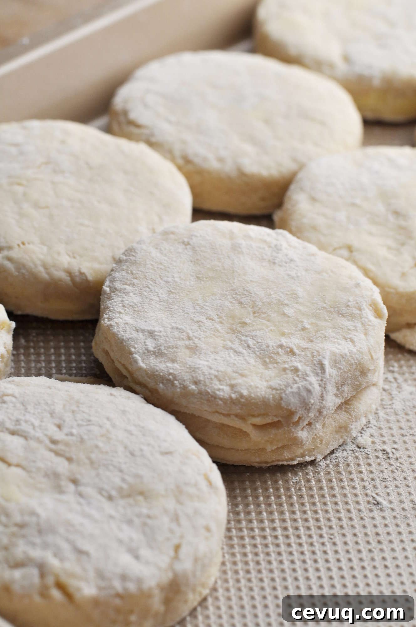 Uncooked biscuits lined up on baking sheet ready to bake.