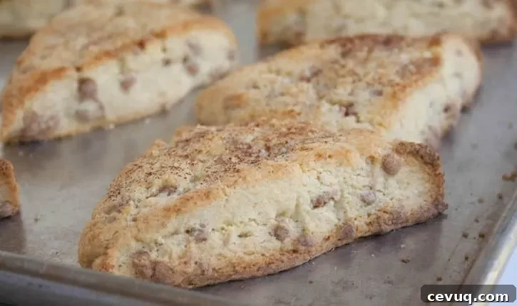 cinnamon-scones-03