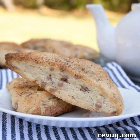 My Favorite Cinnamon Scones