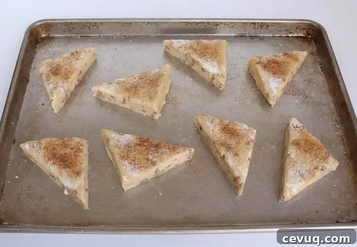 cinnamon-scones07