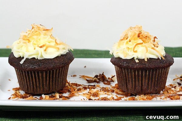 Award Winning Chocolate Coconut Cupcakes | www.chocolatemoosey.com