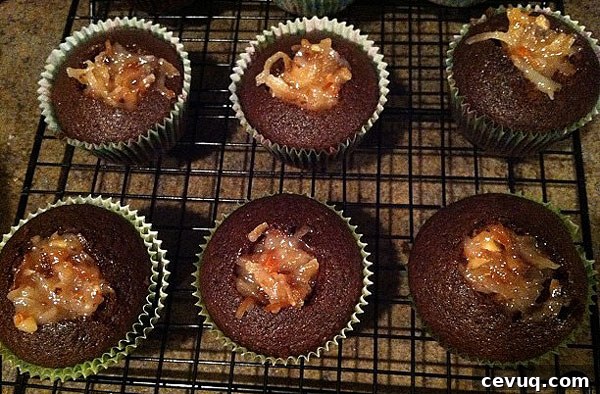 Award Winning Chocolate Coconut Cupcakes | www.chocolatemoosey.com