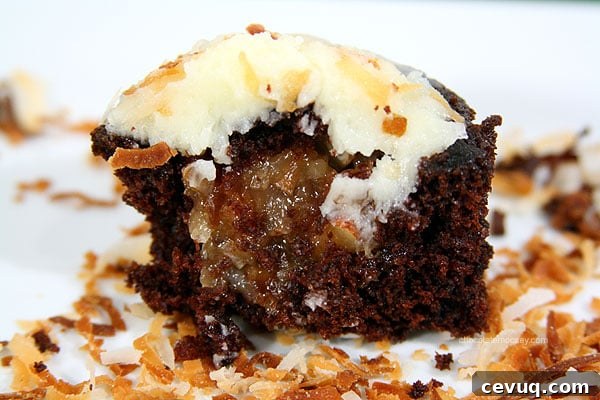 Award Winning Chocolate Coconut Cupcakes | www.chocolatemoosey.com