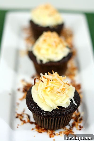 Award Winning Chocolate Coconut Cupcakes | www.chocolatemoosey.com