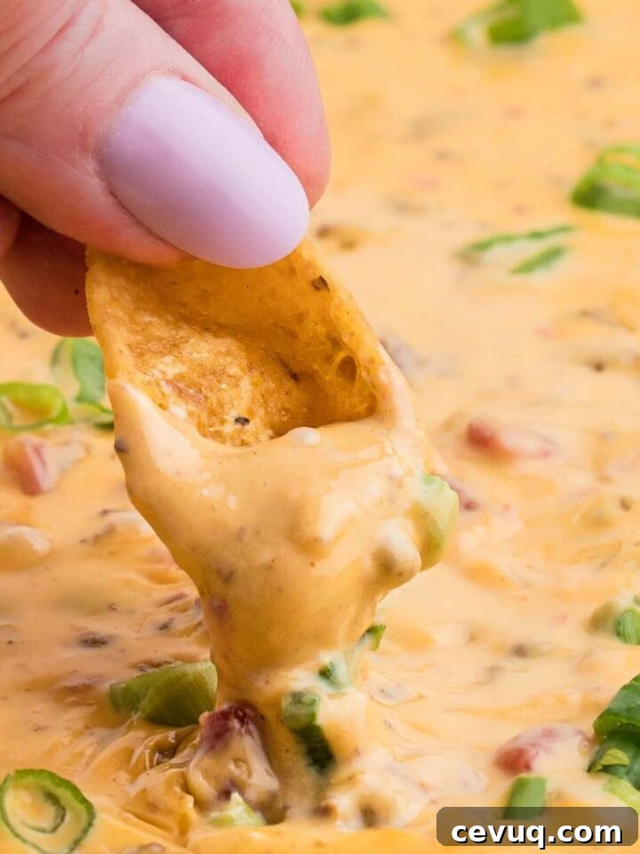 close up of someone's fingers dipping a chip into smoked queso dip